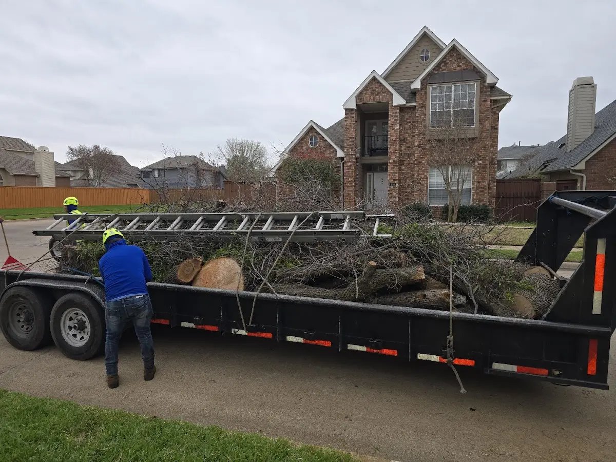 Expert Tree Fertilization with proper safety equipment in Pickens